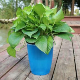 Strongwell Nordic Hydroponics Flower Pot Fairy Garden (Option: Blue-12)